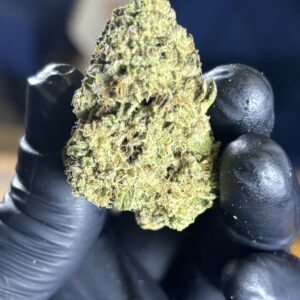 PURPLE CREAM (LOWS-GREEN BACKS EDITION)