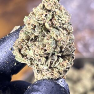 GELATO 33 (THE GREEN BACKS EDITION)