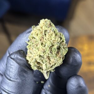 LCG (THE GREEN BACK EDITION)