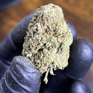 LCG BISCOTTI (THE GREEN BACK EDITION)